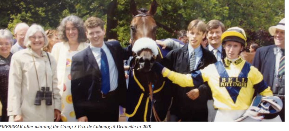 Magical Memory horse